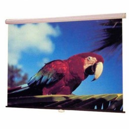 Draper Luma NTSC (3:4) 244/96" (100", 8') 152*203 XT1000E (MW) Экран
