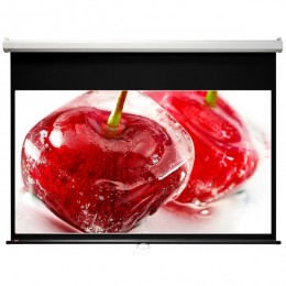Draper Luma HDTV (9:16) 185/73" 91*163 XT1000E (MW) ebd 12" Экран