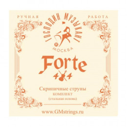 Господин Музыкант VN327 FORTE 4/4 Medium Tension Комплект струн для скрипки