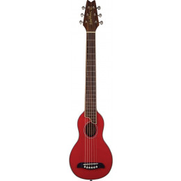 Washburn RO10STRK Акустическая гитара
