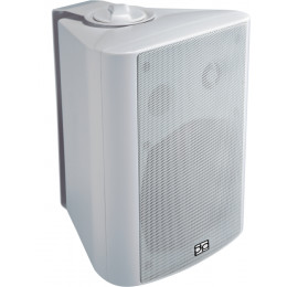 Direct Power Technology WL-160W Акустическая система