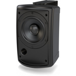 Tannoy AMS 5ICT LZ Акустическая система