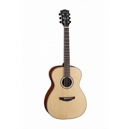 Parkwood PW-220-NS Акустическая гитара