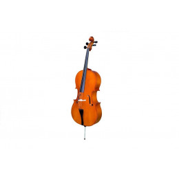 Strunal 4/4C-4/4 Виолончель концертная