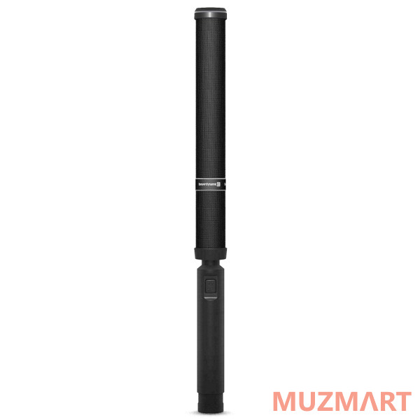 Beyerdynamic Classis RM31 SP инсталляционный микрофон