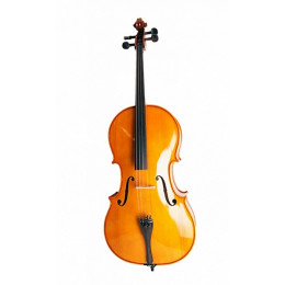 Strunal 4/17C-1/2 Salzburg Виолончель 1/2