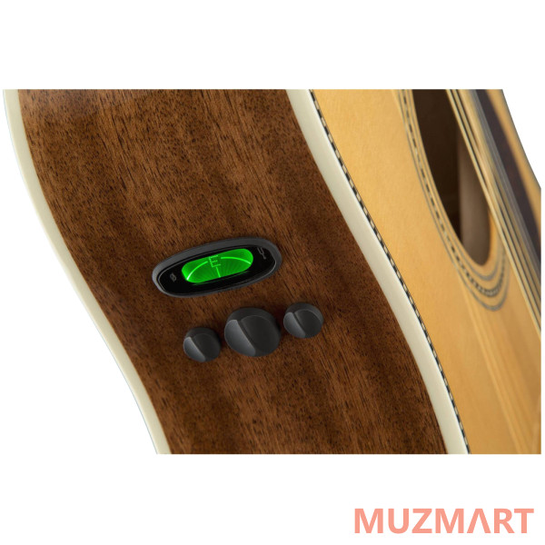 Fender PM-1E DREAD STD NAT W/CASE OV Акустическая гитара с кейсом