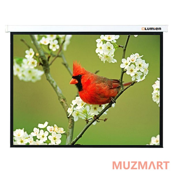 Lumien Master Picture (LMP-100101) Проекционный экран 127x127