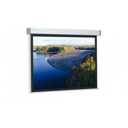 Projecta 10191910 Elpro Electrol Проекционный экран 173x300