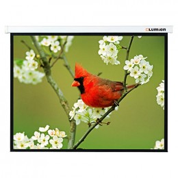 Lumien Master Picture (LMP-100103) Matte White Fiberglass Проекционный экран 180х180