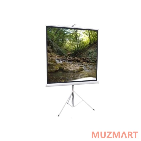 Lumien LEV-100105 Eco View Matte White Проекционный экран 160x160