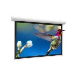 Projecta Elpro Concept [10103515] Проекционный экран 128x220 см