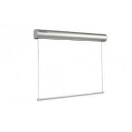 Projecta Master Electrol (10130236) Проекционный экран с электроприводом 300x500 см