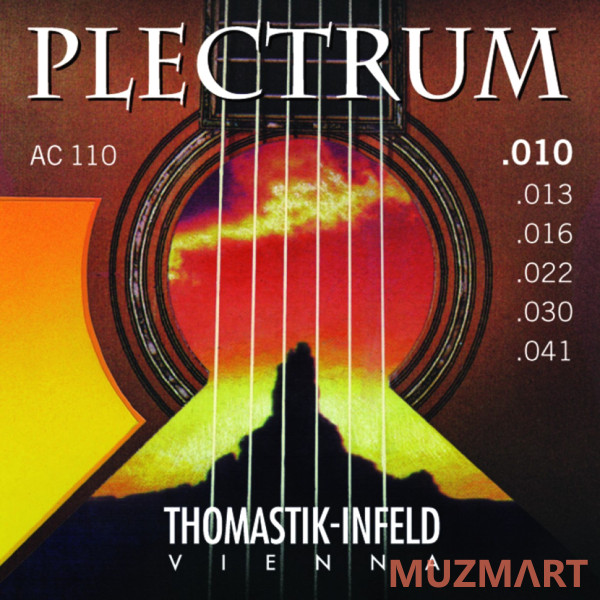 Thomastik Plectrum AC110T труны для акустической гитары 10-41, бронза